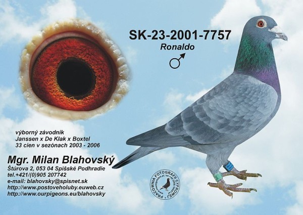 SK-23-01-7757